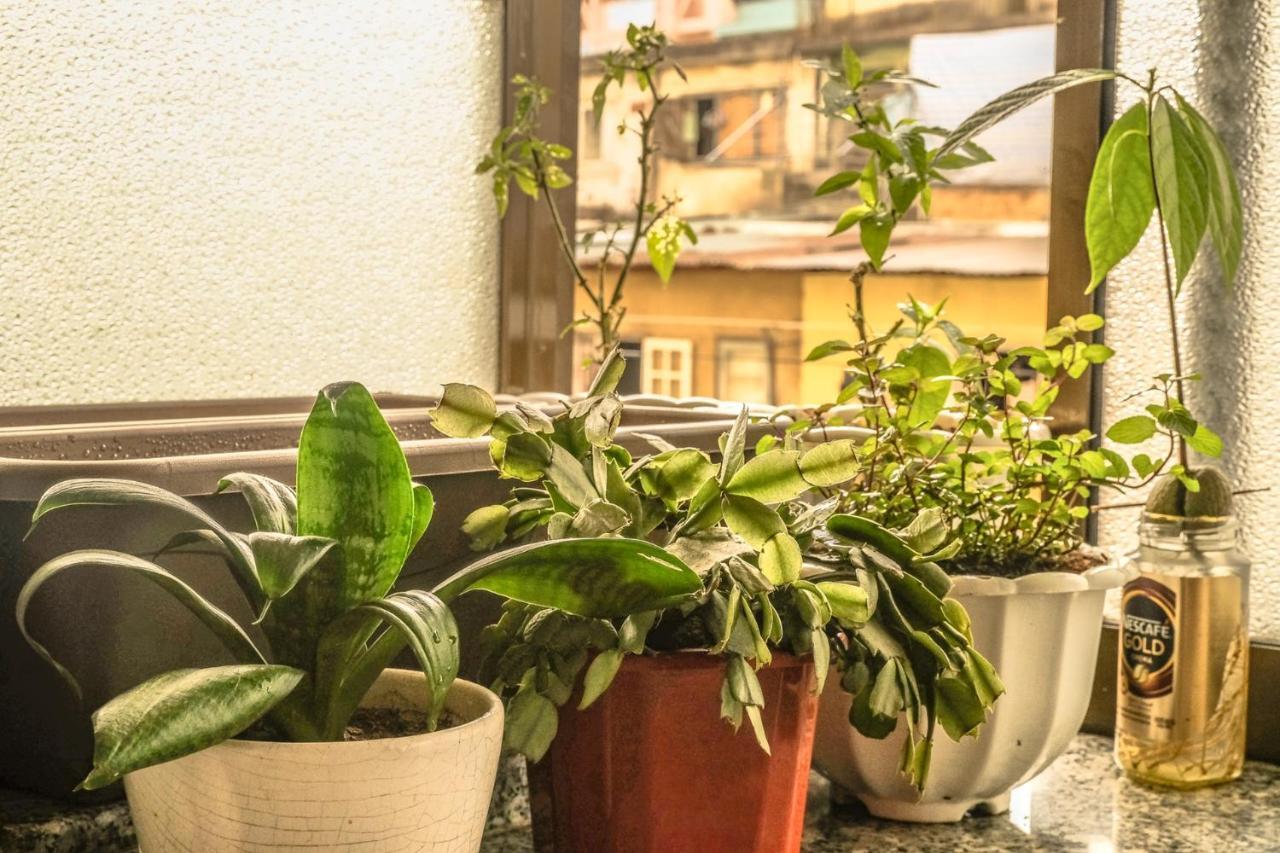 Dora Hostel Dalat Eksteriør bilde